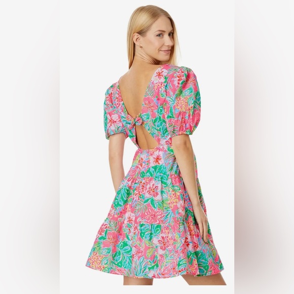 💕NEW! Lilly Pulitzer Nalani Short Sleeve Cotton Dress - Picture 2 of 11